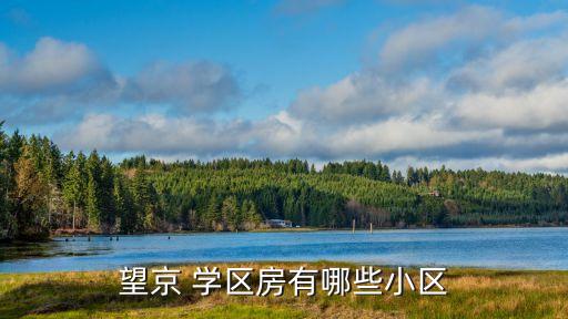 望京 学区房有哪些小区