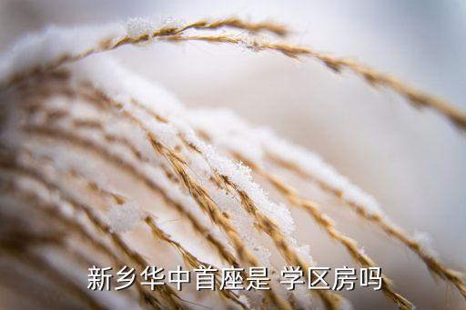  新乡华中首座是 学区房吗