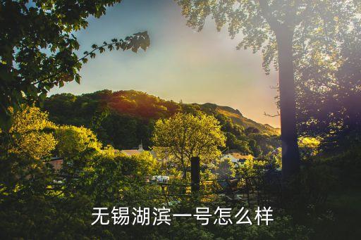  无锡湖滨一号怎么样