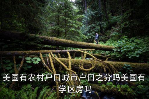 美国有农村户口城市户口之分吗美国有 学区房吗