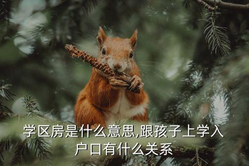  学区房是什么意思,跟孩子上学入 户口有什么关系