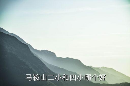  马鞍山二小和四小哪个好