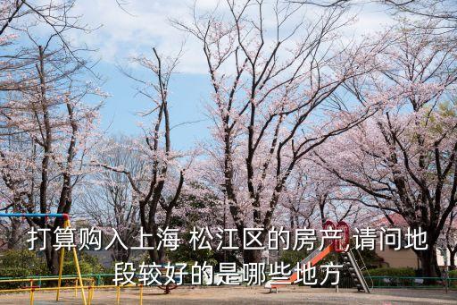 松江学区房是哪个地方,吉林市松江欣都属于哪个学区