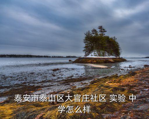  泰安市泰山区大官庄社区 实验 中学怎么样