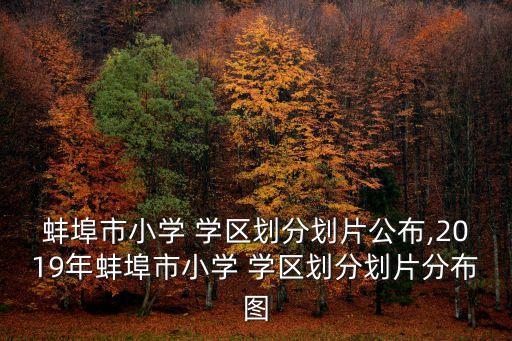 蚌埠市小学 学区划分划片公布,2019年蚌埠市小学 学区划分划片分布图