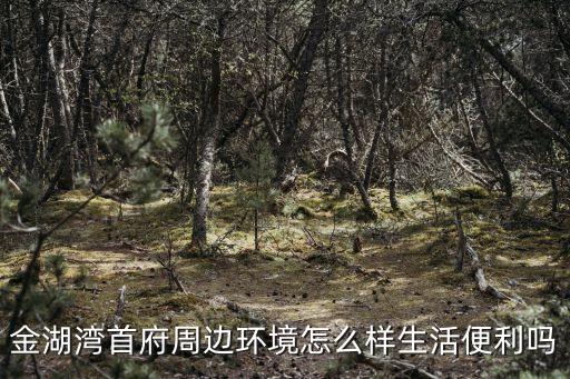 金湖湾首府周边环境怎么样生活便利吗
