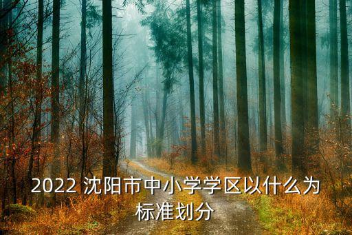 2022 沈阳市中小学学区以什么为标准划分