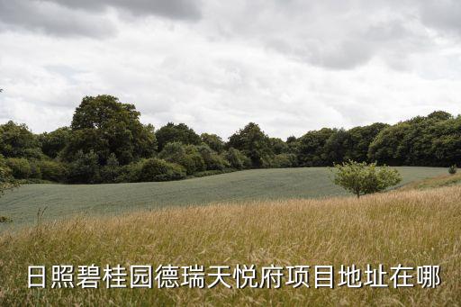 日照学区房地图,深圳学区房地图