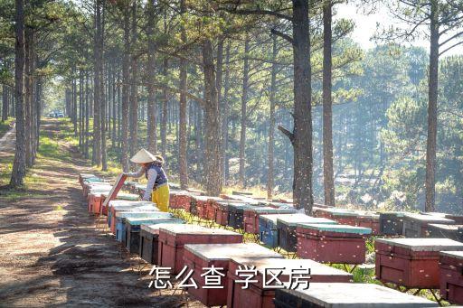 怎么查 学区房