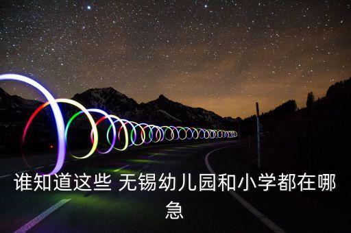 谁知道这些 无锡幼儿园和小学都在哪急