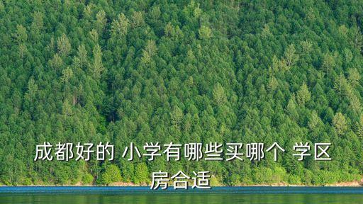 成都小学对应学区房楼盘,成都最好的小学学区房在哪里