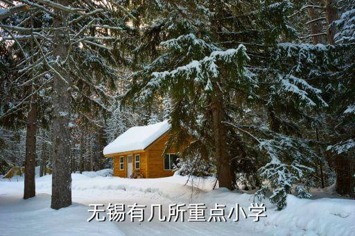 无锡有几所重点小学
