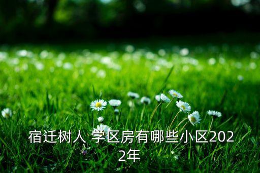  宿迁树人 学区房有哪些小区2022年