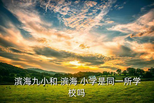  滨海九小和 滨海 小学是同一所学校吗