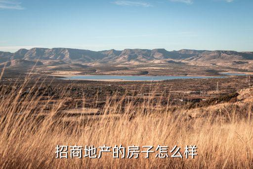 招商地产的房子怎么样