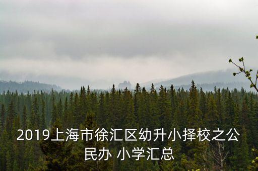 2019上海市徐汇区幼升小择校之公民办 小学汇总