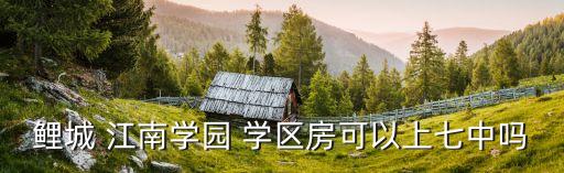 吉林市江南学区房,2022年吉林市学区房划分
