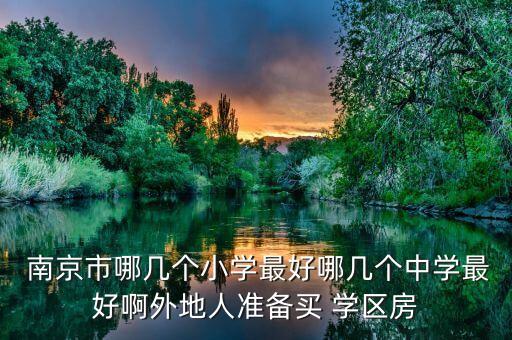  南京市哪几个小学最好哪几个中学最好啊外地人准备买 学区房