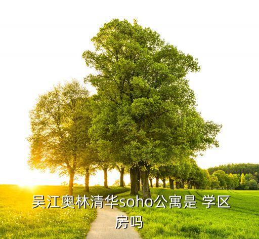  吴江奥林清华soho公寓是 学区房吗