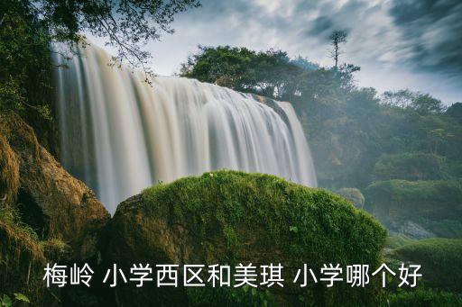  梅岭 小学西区和美琪 小学哪个好