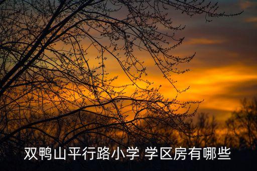 双鸭山平行路小学 学区房有哪些