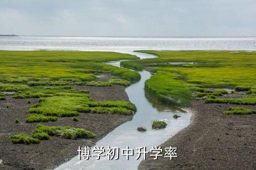 武汉东湖高新区中学学区房划分