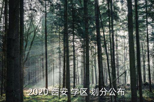 2020 西安 学区 划分公布