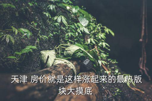  天津 房价就是这样涨起来的最热版块大摸底