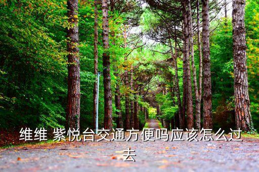  维维 紫悦台交通方便吗应该怎么过去
