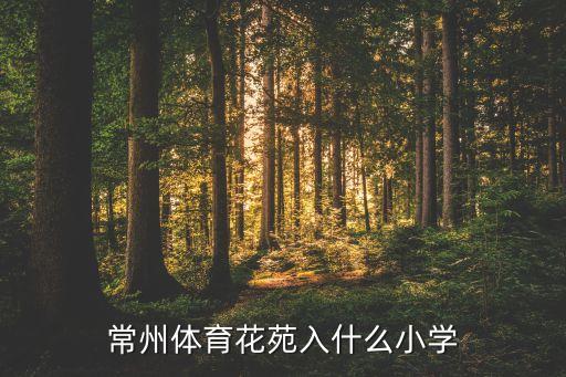 常州体育花苑入什么小学
