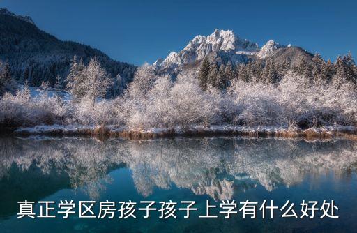 真正学区房孩子孩子上学有什么好处