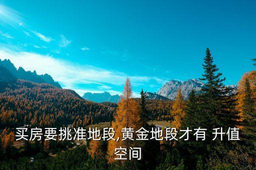 买房要挑准地段,黄金地段才有 升值空间