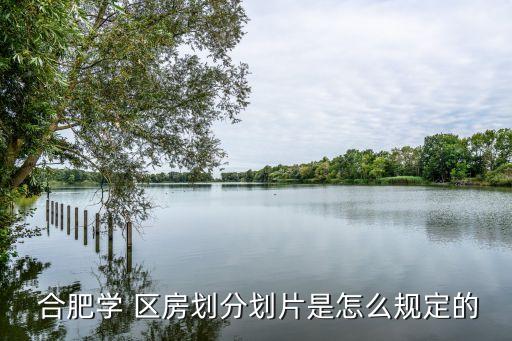  合肥学 区房划分划片是怎么规定的