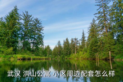 洪山哪个小区学区房好一些,大庆外国语学区房都是哪个小区
