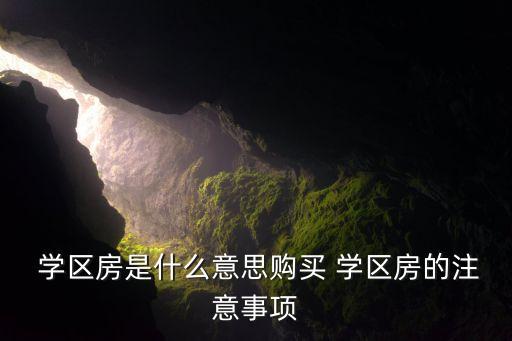  学区房是什么意思购买 学区房的注意事项