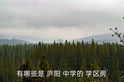 有哪些是 庐阳 中学的 学区房