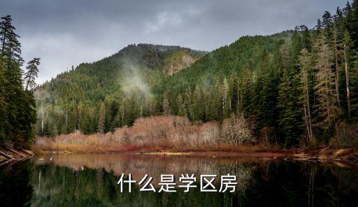 什么是学区房
