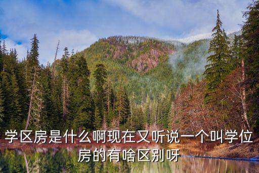 学区房是什么啊现在又听说一个叫学位房的有啥区别呀