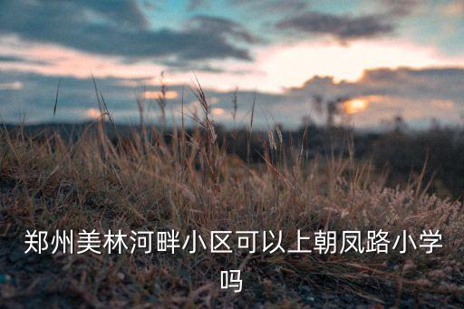  郑州美林河畔小区可以上朝凤路小学吗