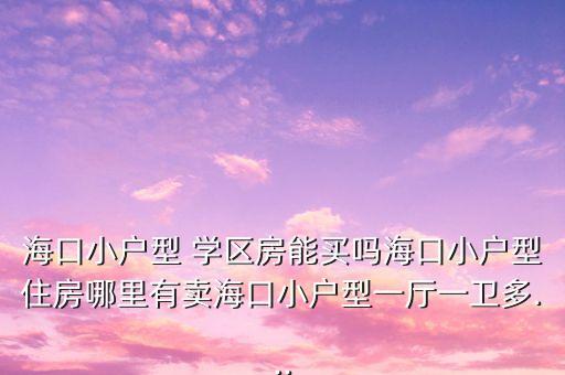 海口小户型 学区房能买吗海口小户型住房哪里有卖海口小户型一厅一卫多...