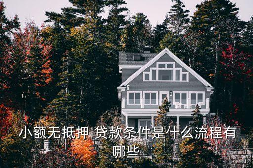  小额无抵押 贷款条件是什么流程有哪些