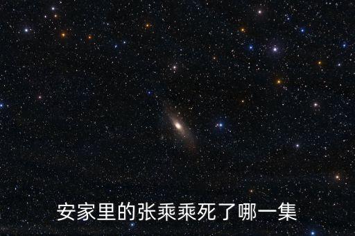 安家里的张乘乘死了哪一集