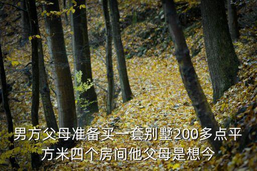 男方父母准备买一套别墅200多点平方米四个房间他父母是想今
