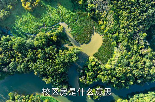 刚需房和学区房有什么区别，学区房改善房刚需房分别是什么意思