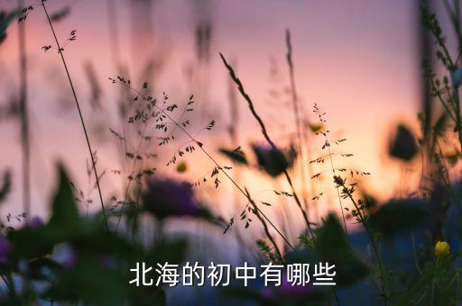  北海的初中有哪些
