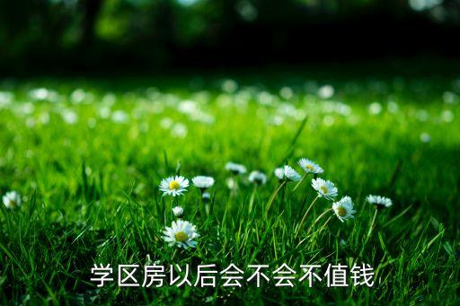 海南学区房和居家型哪个好