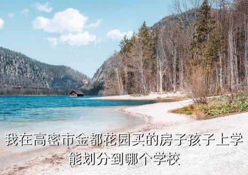 我在高密市金都花园买的房子孩子上学能划分到哪个学校