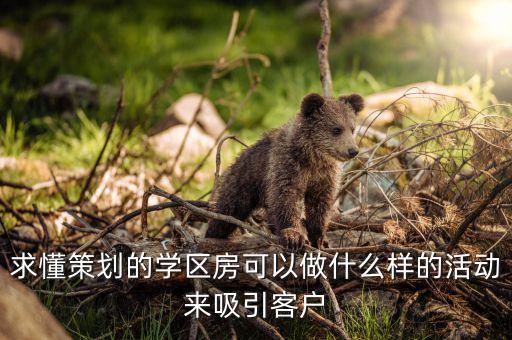 求懂策划的学区房可以做什么样的活动来吸引客户