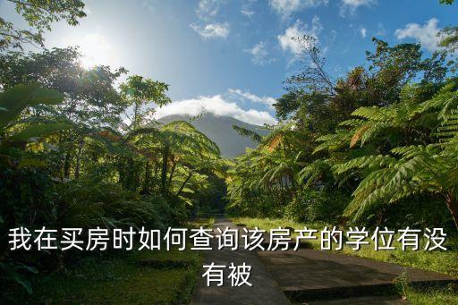 我在买房时如何查询该房产的学位有没有被