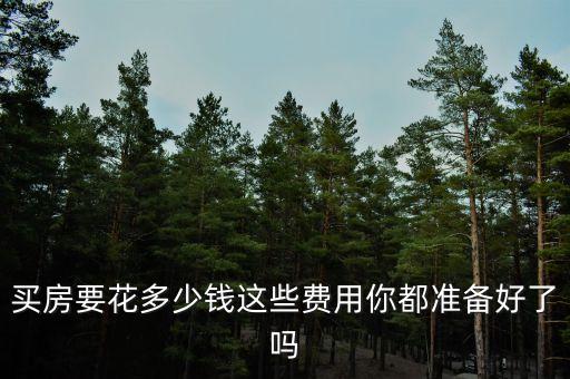 买房要花多少钱这些费用你都准备好了吗